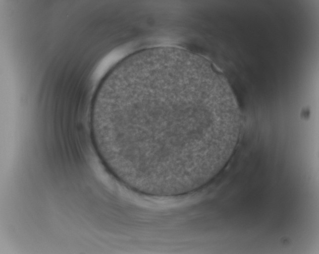 X0000113940006200910161926
