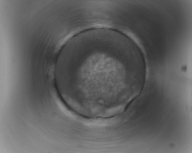 X0000113940009200910161926