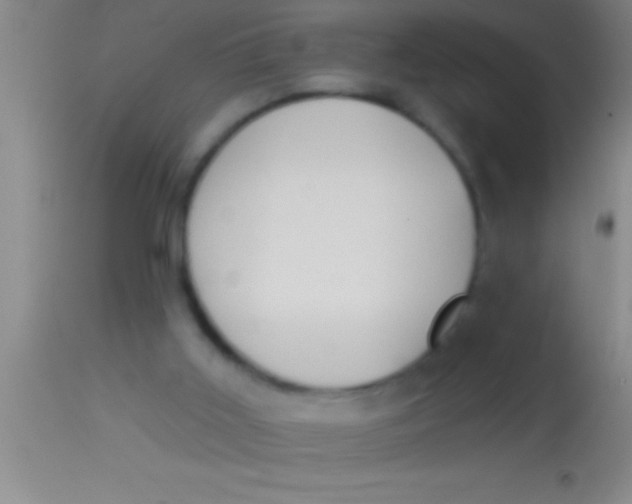 X0000113940011200910161926