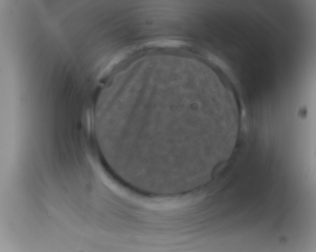 X0000113940013200910161926