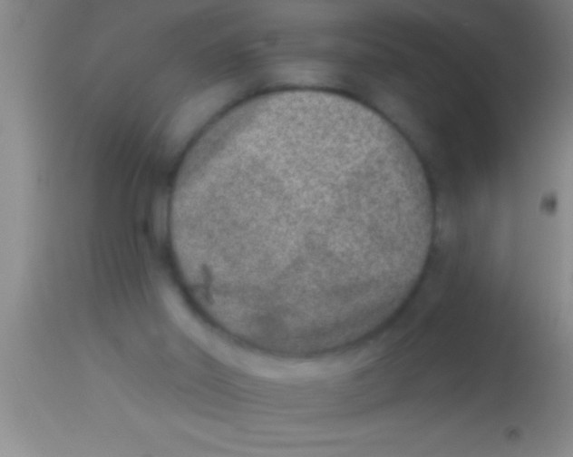 X0000113940014200910161926