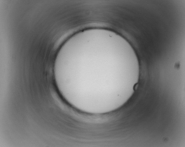 X0000113940015200910161926