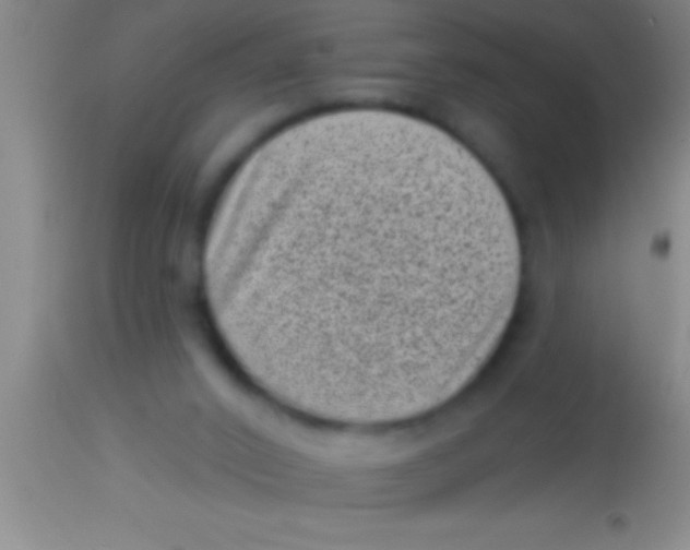 X0000113940016200910161926