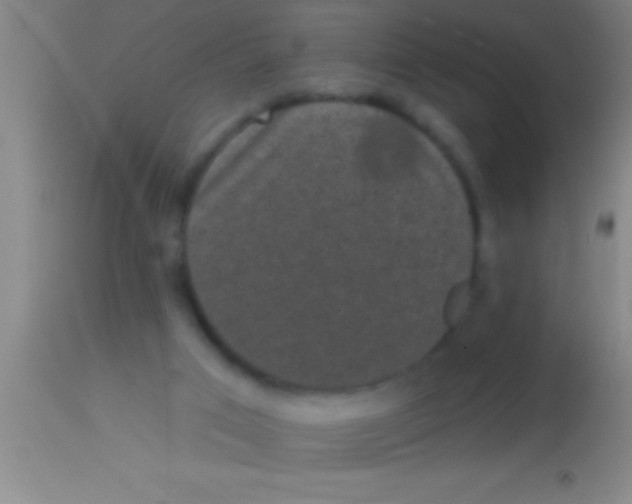 X0000113940017200910161926