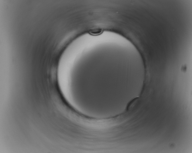 X0000113940019200910161926