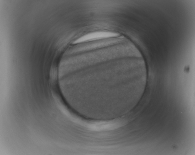 X0000113940021200910161926