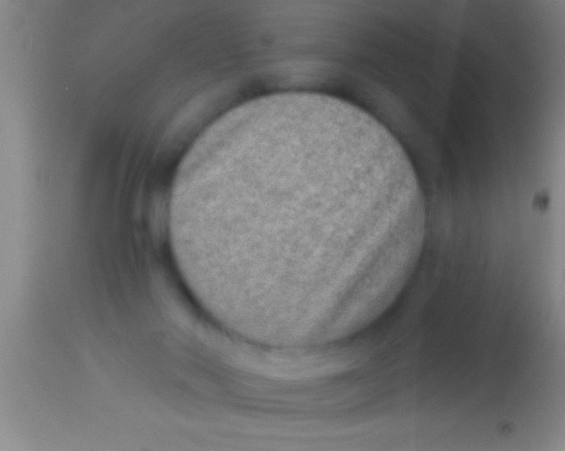 X0000113940022200910161926