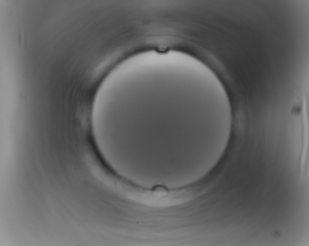 X0000113940023200910161926