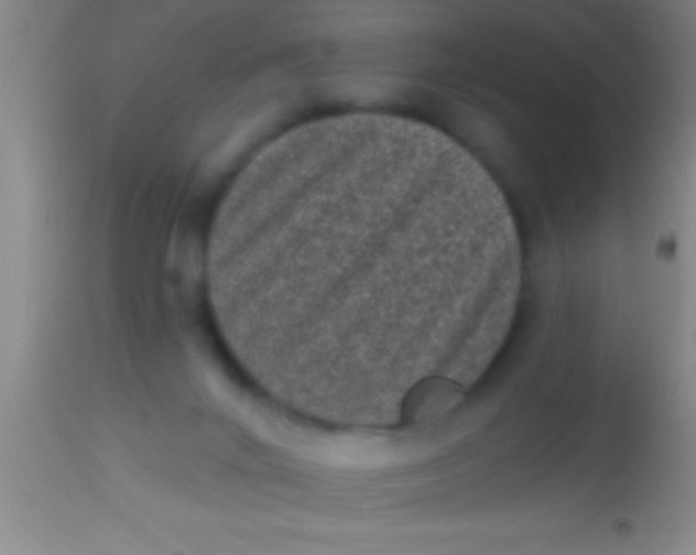 X0000113940024200910161926