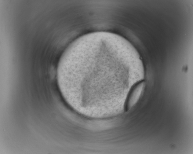 X0000113940025200910161926