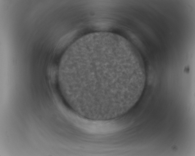 X0000113940026200910161926