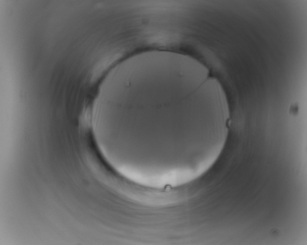 X0000113940027200910161926