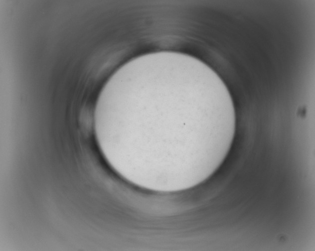 X0000113940028200910161926