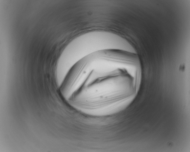 X0000113940029200910161926