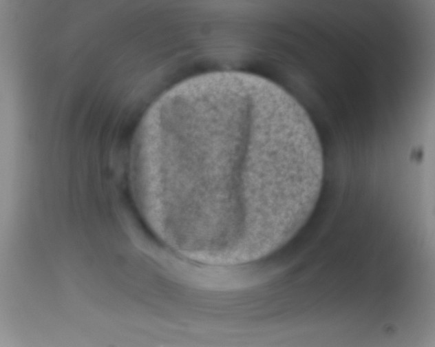 X0000113940030200910161926