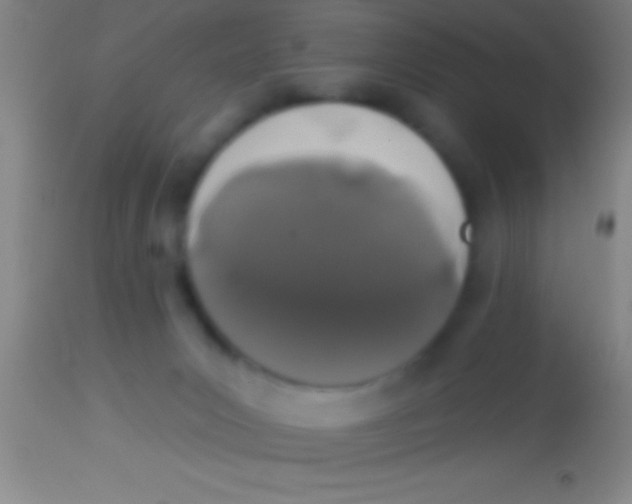 X0000113940031200910161926