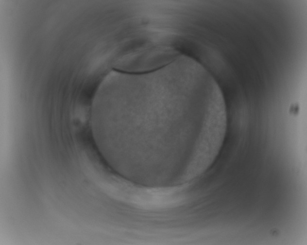 X0000113940033200910161926