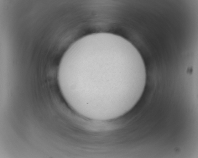 X0000113940034200910161926