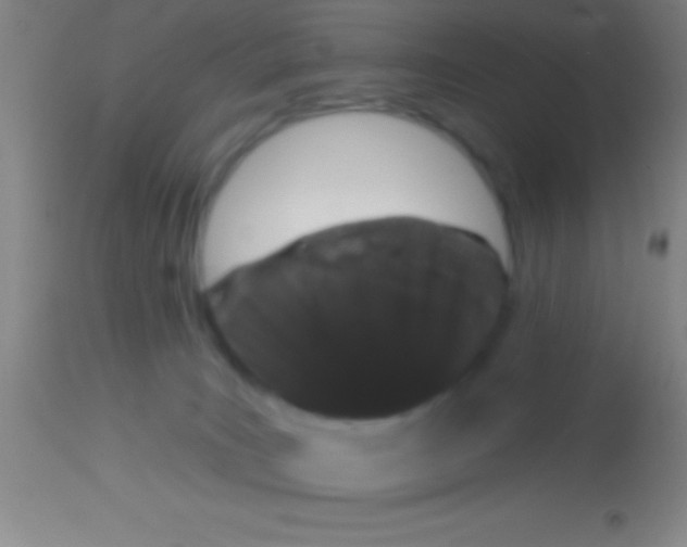 X0000113940035200910161926