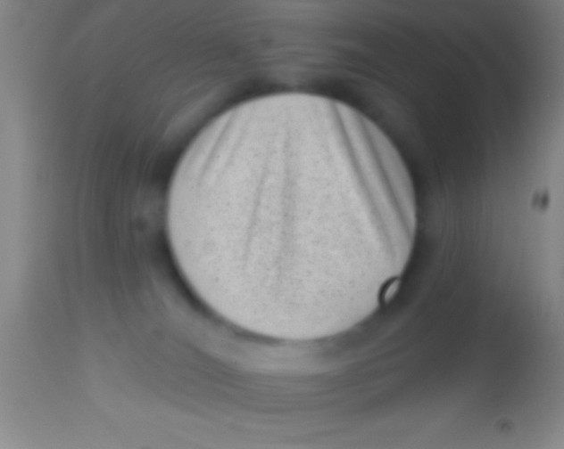 X0000113940036200910161926