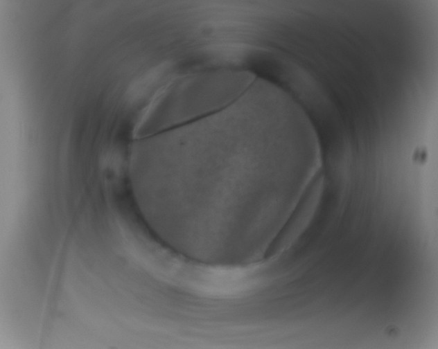 X0000113940037200910161926