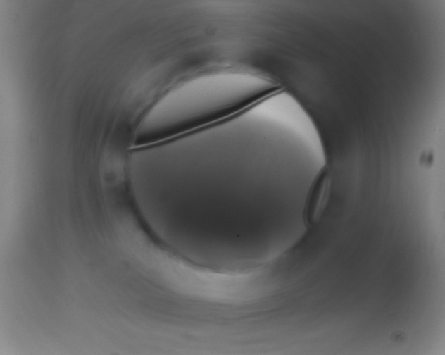 X0000113940039200910161926