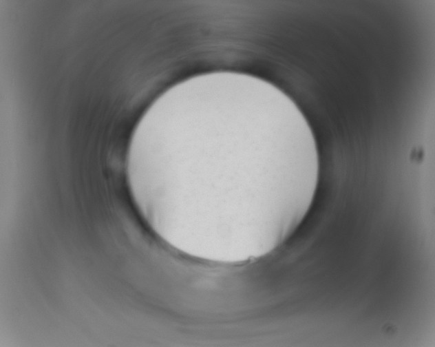 X0000113940040200910161926