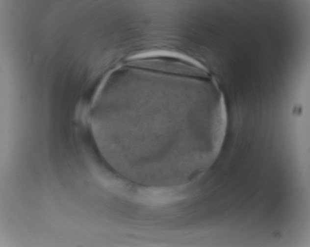 X0000113940041200910161926