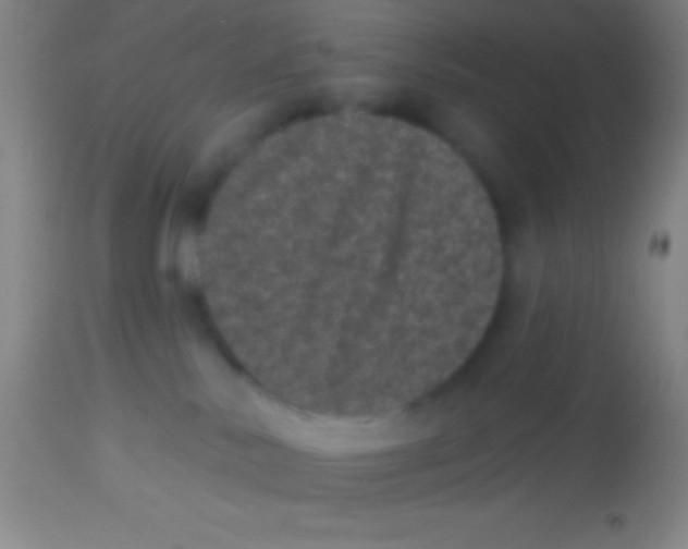 X0000113940042200910161926