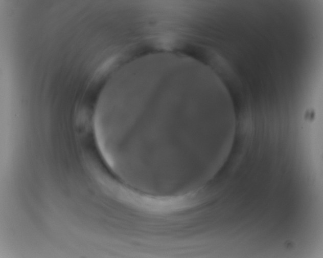 X0000113940043200910161926