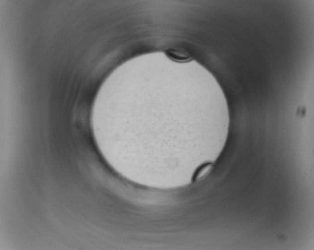 X0000113940044200910161925