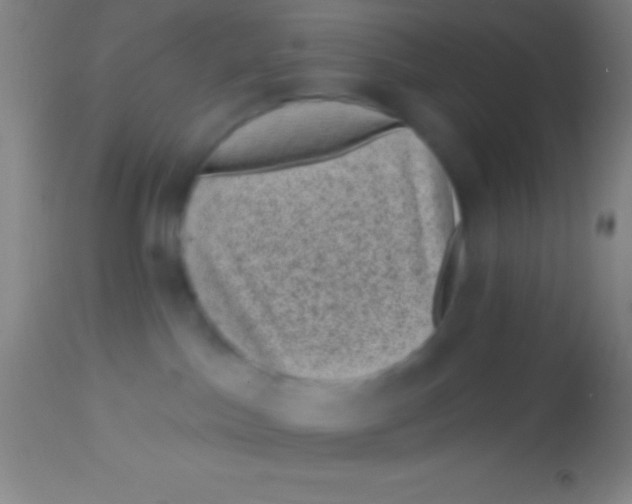 X0000113940045200910161925