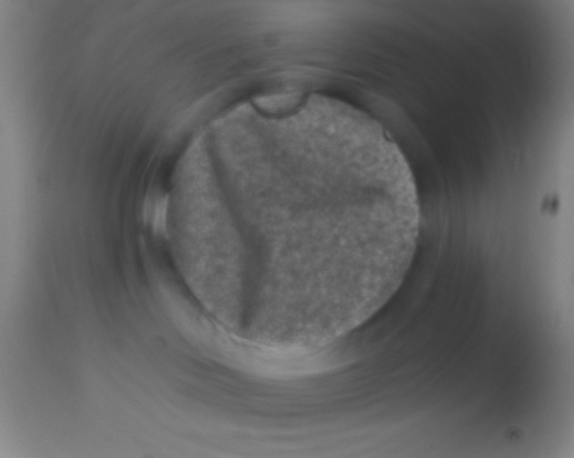 X0000113940046200910161925