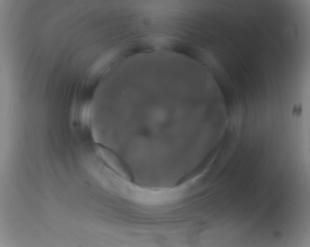 X0000113940047200910161925