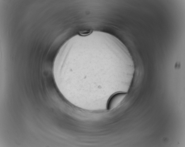 X0000113940048200910161925