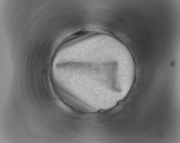 X0000113940049200910161925
