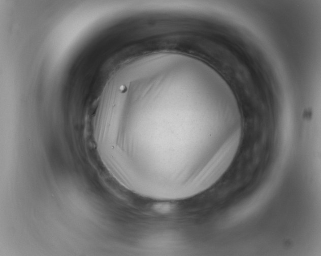 X0000113940050200910161925