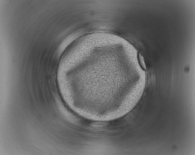 X0000113940051200910161925
