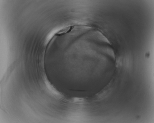 X0000113940052200910161925