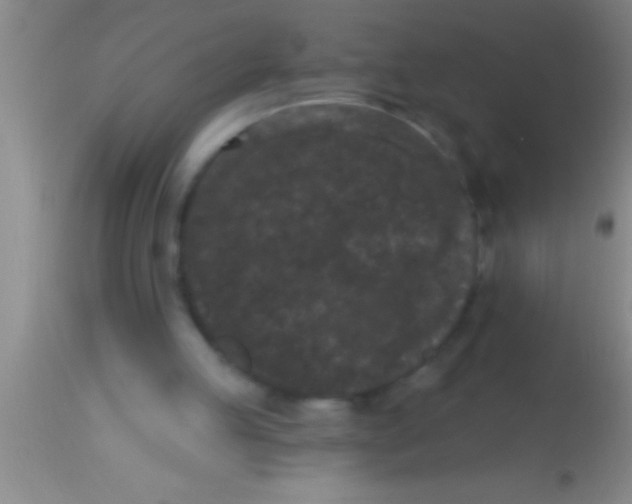 X0000113940053200910161925