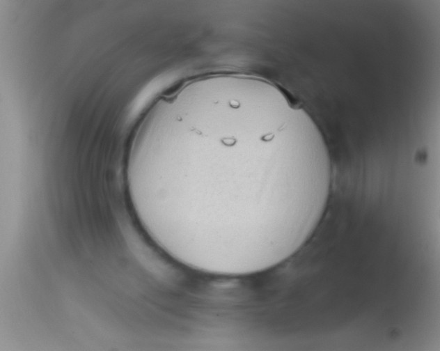 X0000113940054200910161925