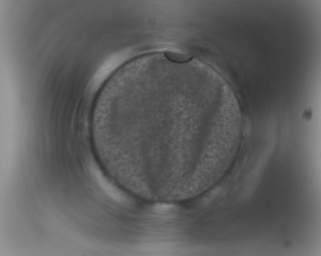 X0000113940055200910161925