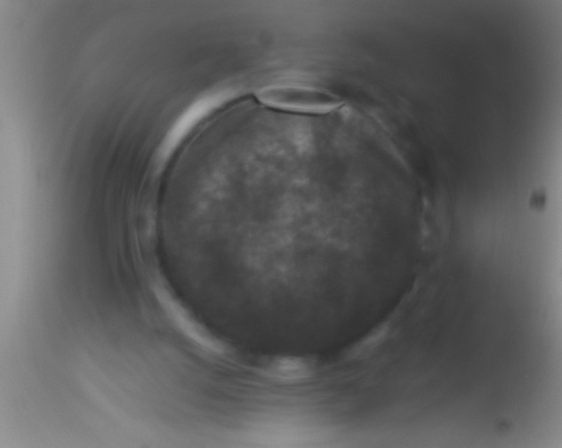 X0000113940056200910161925