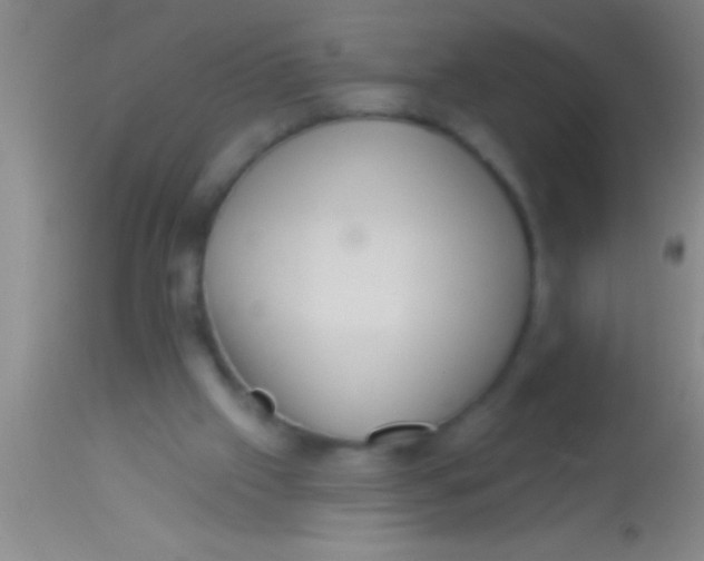 X0000113940057200910161925