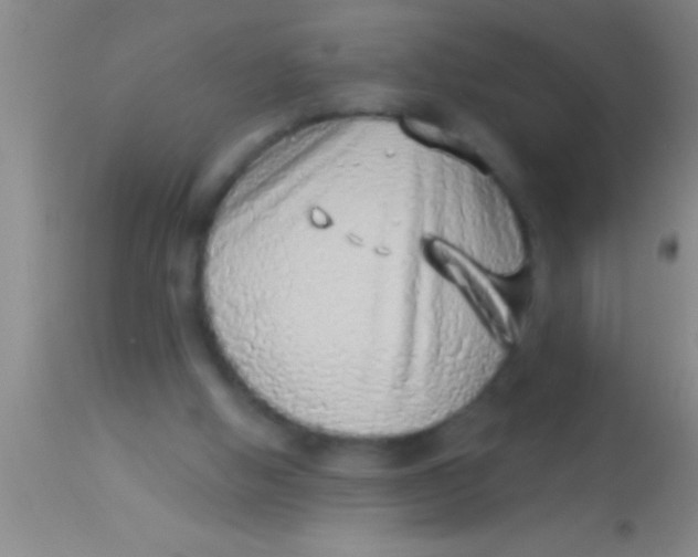 X0000113940058200910161925