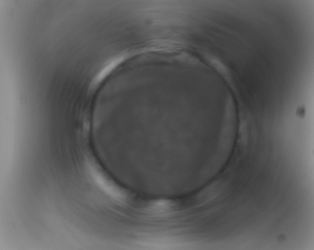 X0000113940059200910161925