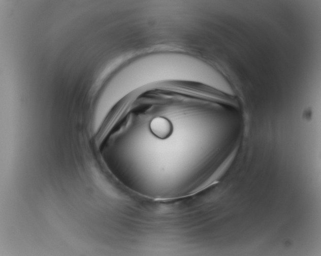 X0000113940060200910161925