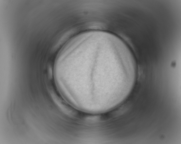 X0000113940061200910161925