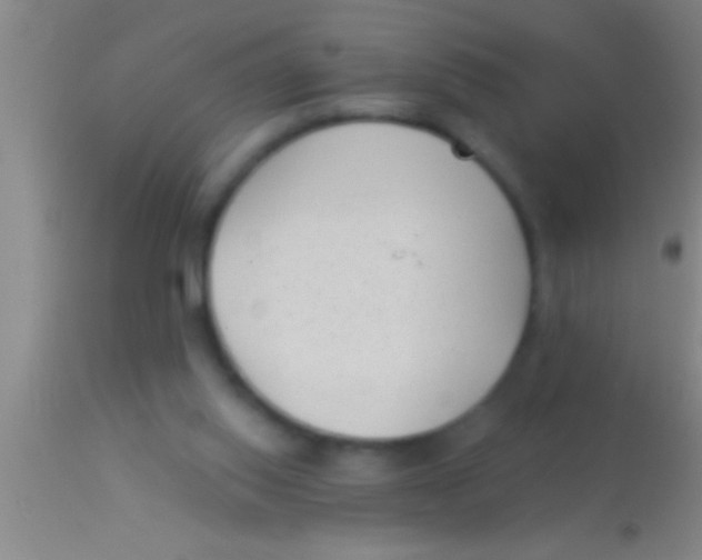 X0000113940062200910161925