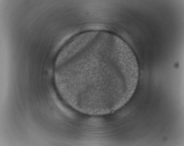 X0000113940063200910161925